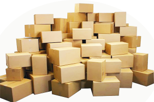 đóng gói bột nghệ